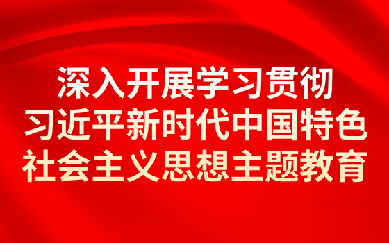 深入開展學(xué)習(xí)貫徹習(xí)近平新時(shí)代中國特色社會(huì)主義思想主題教育